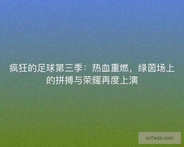 疯狂的足球第三季：热血重燃，绿茵场上的拼搏与荣耀再度上演