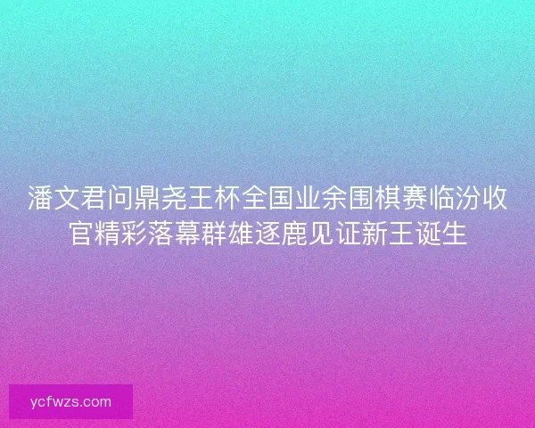 潘文君问鼎尧王杯全国业余围棋赛临汾收官精彩落幕群雄逐鹿见证新王诞生